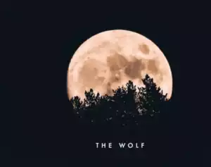 Themba (Sa) - The Wolf (Original Mix)